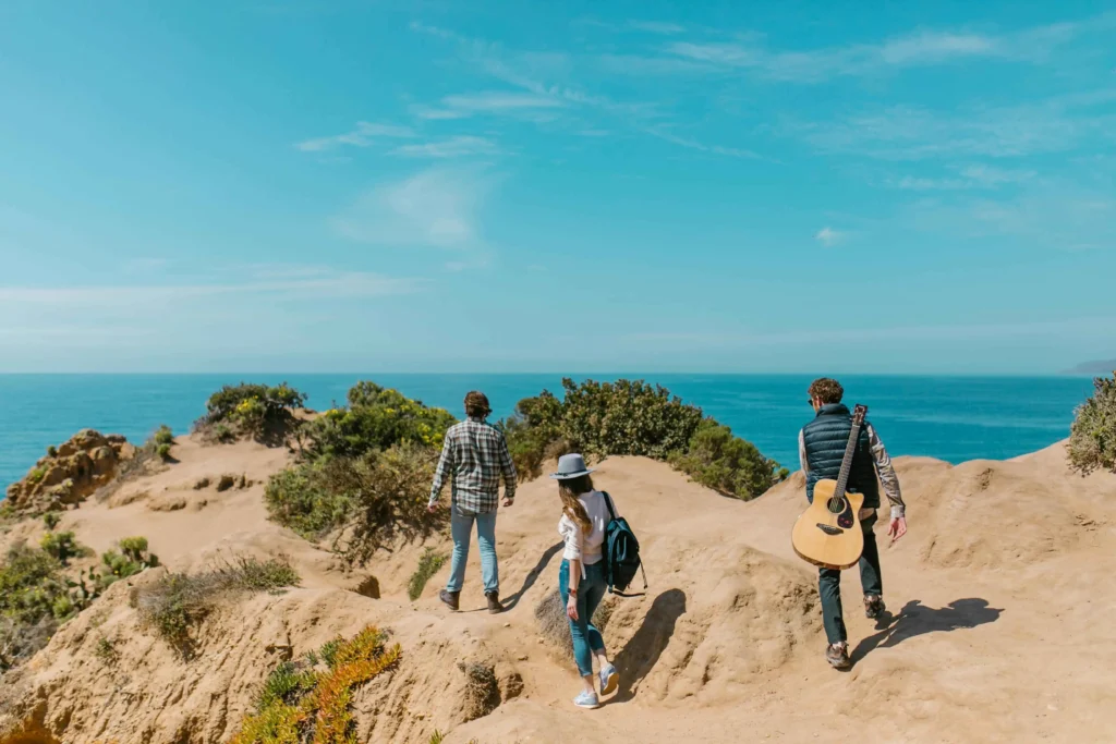 Take a Trip to Howth Cliff Walks and Seafood